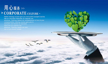 ���ֵĸ��첻����ȫ�ɱ��Ͷ���Ч����